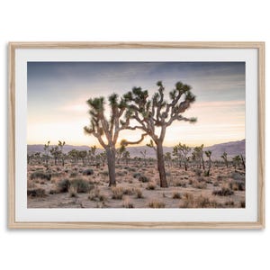 Joshua Trees "Holding Hands" Fine Art Photography Print - Joshua Tree Sunset Wall Art, Framed or Unframed Desert Wall Art for Home Decor