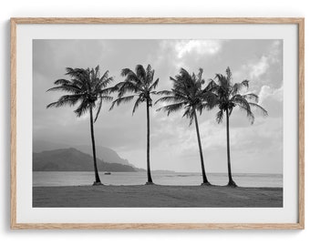 Hawaii Palm Trees Beach Wall Art - Palm Tree Fine Art Black and White Photography Print, Extra Large Hawaii, Kauai Beach Coastal Decor