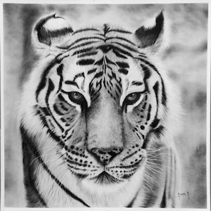 The Fighter ( Handmade Original charcoal drawing of Tiger)