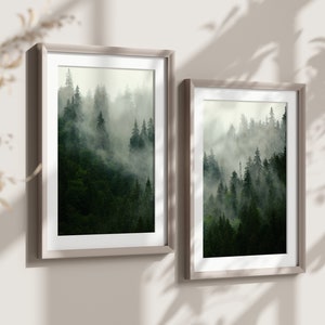 May include: Two framed prints of a misty forest scene with tall trees. The frames are light brown and have a white mat.