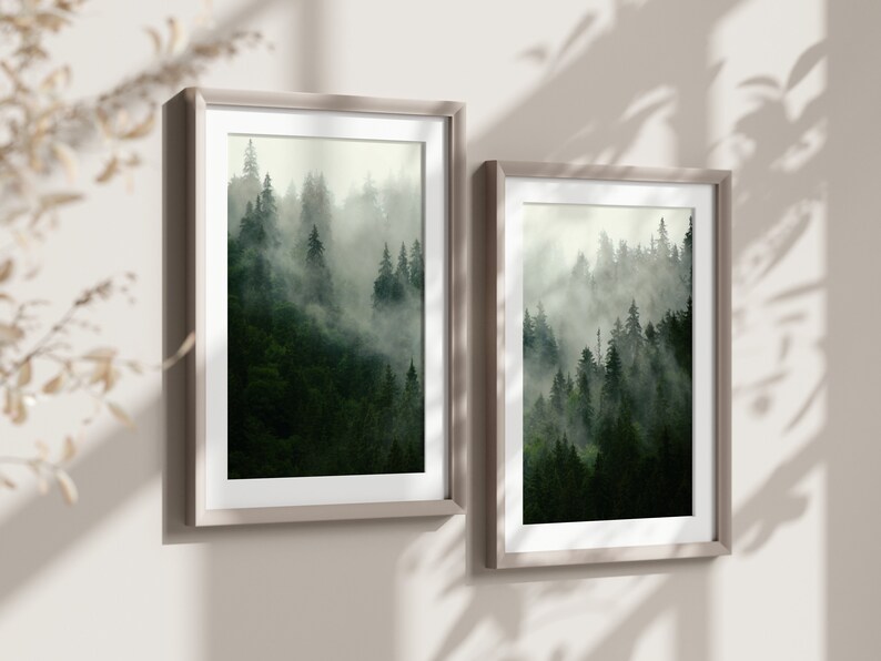 May include: Two framed prints of a misty forest scene with tall trees. The frames are light brown and have a white mat.