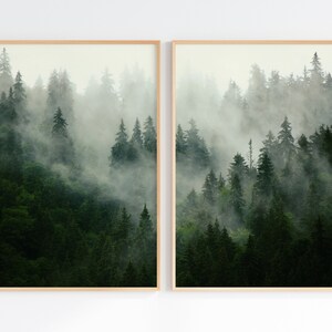 May include: A pair of framed prints featuring a misty forest scene with tall evergreen trees. The prints are in a light wood frame and are hung on a white wall.