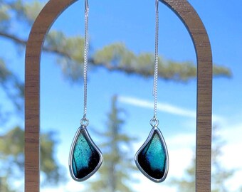 Real Blue Butterfly Wing Threader Earrings | Iridescent Dangles | Sterling Silver Jewelry | Nature-Inspired Gift for Collector or Friend