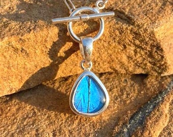 Blaue Morpho Schmetterlingsflügel Halskette | Echter Einzigartiger Teardrop Anhänger in Sterling Silber | Irisierende Natur Schmuck Geschenk für Mama oder Sie