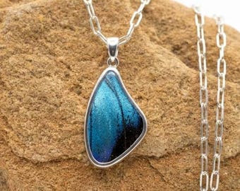 Schmetterlingsflügel Halskette | Echter Morpho Achilles Einzigartige Anhänger in Sterling Silber | Irisierende Blau Natur Schmuck Geschenk für Mama oder Sie