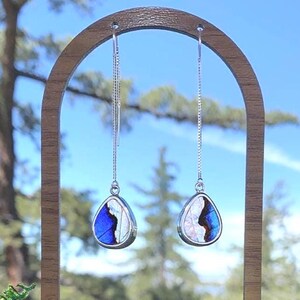 Real Butterfly Wing Earrings – Teardrop Blue Morpho + Pearl Morpho – Sterling Silver Threaders – Iridescent Jewelry – Long Threader Earrings