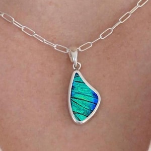 Blue Prepona Butterfly Wing Necklace | Real Butterfly Wing Pendant in Sterling Silver | Wing-Shaped Pendant | Iridescent Nature Jewelry Gift