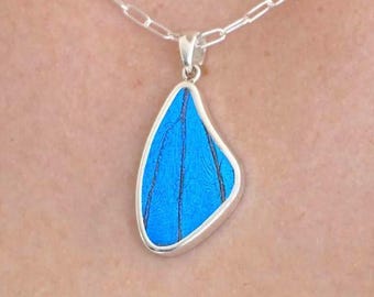 Blau Morpho irisierender Schmetterling Anhänger Halskette | Echte Schmetterlingsflügel Schmuck in Sterling Silber | Einzigartiges Natur-inspiriertes Geschenk für ihre Mutter