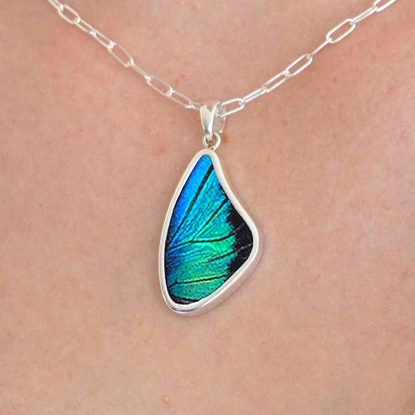 Collier aile de papillon Prepona | Pendentif véritable aile de papillon en argent sterling | Cadeau bijoux nature vert bleu irisé pour elle