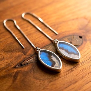 Real Butterfly Wing Earrings – Oval Blue Morpho & Pearl Morpho on Sterling Silver Threaders – Iridescent Boho Jewelry – Lightweight Earrings