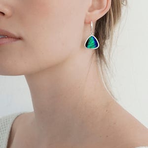 Triangle Prepona Wing Earrings | Real Butterfly Jewelry | Iridescent Green Blue Sterling Silver Leverbacks | Handmade Gift for Nature Lover