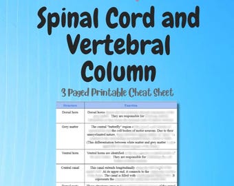 Spinal Cord & Vertebral Column Study Guide | Human Anatomy Medical Cheat Sheet | Structure and Function | Printable Digital Download
