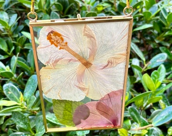 Pressed Hibiscus