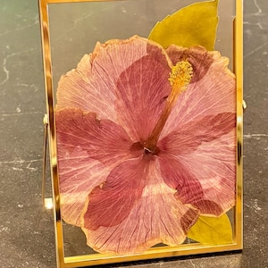 May include: A pressed hibiscus flower with pink and mauve petals and a yellow stamen, accompanied by two green leaves, encased within a rectangular gold-toned metal frame with clear glass panels, standing upright on a thin metal support.