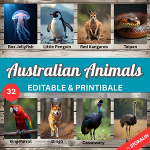 Cartes-éclair sur les animaux d'Australie • 32 cartes Montessori en 3 parties • Animal réaliste • Cartes d'apprentissage préscolaire • Étude de la nature à la maison