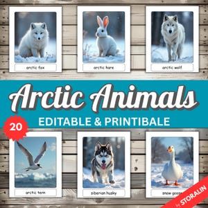 Schede didattiche di animali artici, schede didattiche Montessori modificabili • 20 schede didattiche stampabili realistiche Nomenclatura