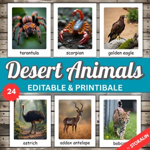 Tarjetas Montessori de animales del desierto / 24 tarjetas didácticas editables para niños / Imprimibles para el aprendizaje de la naturaleza en preescolar / Animales de safari para la educación en casa
