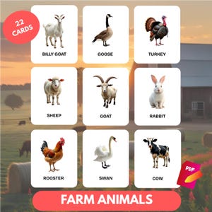 Farm Animal Flash Cards Printable • 22 Realistic Montessori Cards • Editable PDF • Preschool Homeschool Learning