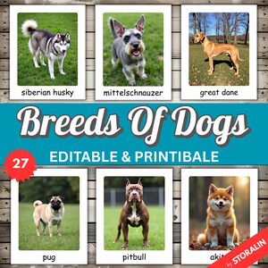 Flashcards sobre raças de cães com fotos reais | 27 cartões Montessori editáveis | Aprendizagem de cães para imprimir para crianças | Animais para educação domiciliar