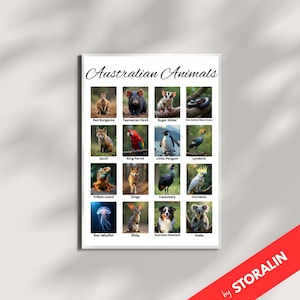 Póster de animales australianos / Cuadro de vida silvestre Montessori imprimible en formato JPG / Decoración natural para guardería y aula / Descarga instantánea