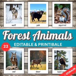 Forest Animals Flashcards | 22 Editable Montessori Cards with Real Animal Photos | Preschool Nature Learning Printable