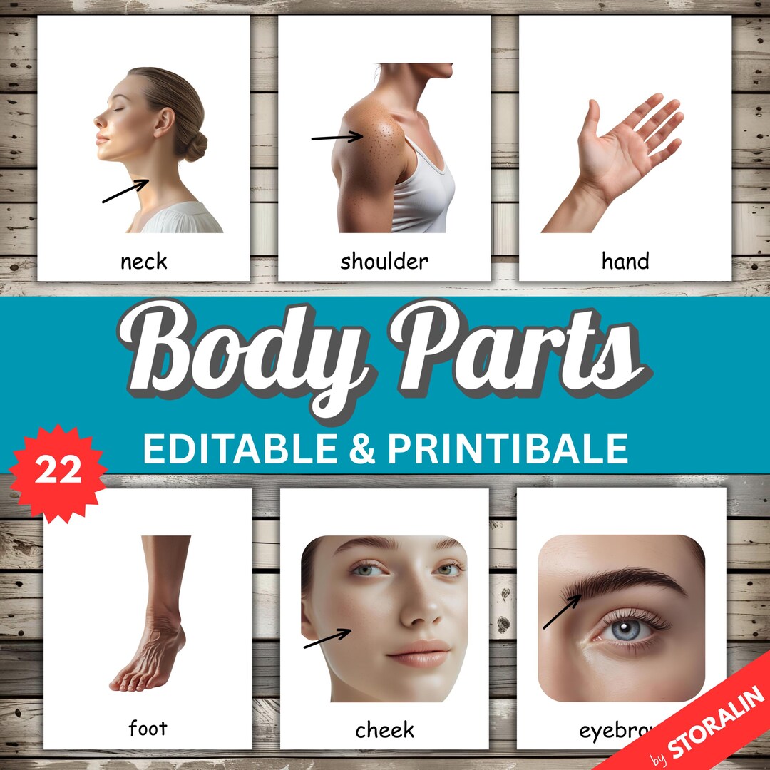 Montessori Body Parts Real Photo Flashcards • 3‑part Nomenclature • 22 ...
