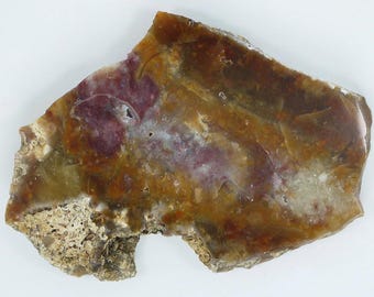 Polished Savannah River Agate Slab From Burke County, Georgia