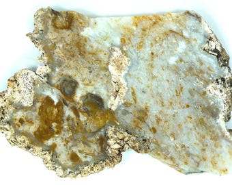 Savannah River Agate Polished Slab From Burke County, Georgia