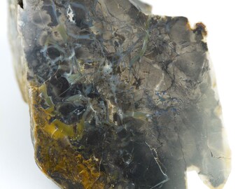 Polished Spring Gulch Brecciated Jasper From Fremont County, Colorado