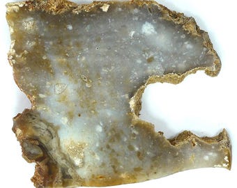 Polished Savannah River Agate Slab From Burke County, Georgia