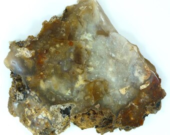 Polished Savannah River Agate From Burke County, Georgia