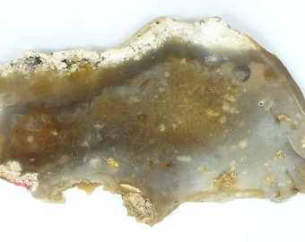 Polished Savannah River Agate Slab From Burke County, Georgia