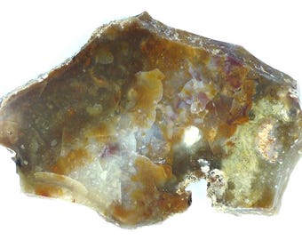 Polished Savannah River Agate Slab From Burke County, Georgia