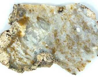 Polished Savannah River Agate From Burke County, Georgia.