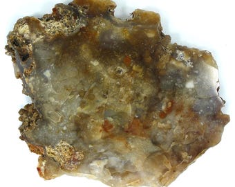 Polished Savannah River Agate Slab From Burke County, Georgia