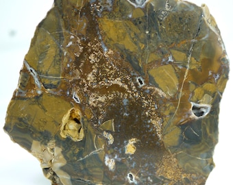 Polished Spring Gulch Brecciated Jasper Specimen Moss Agate Formation From Fremont County, Colorado