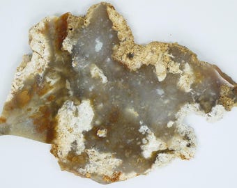 Polished Savannah River Agate Slab From Burke County, Georgia