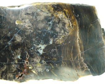 Polished Spring Gulch Brecciated Jasper From Fremont County, Colorado