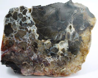 Polished Spring Gulch Brecciated Jasper Specimen From Fremont County, Colorado