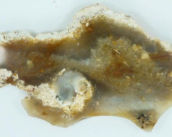 Polished Savannah River Agate Slab From Burke County, Georgia