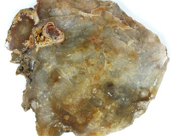 Polished Savannah River Agate Slab From Burke County, Georgia