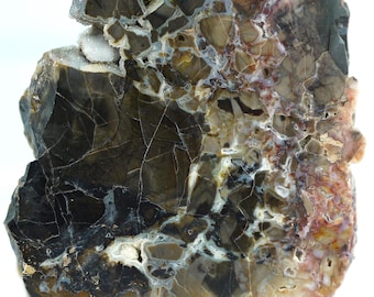 Polished Spring Gulch Brecciated Jasper From Fremont County, Colorado