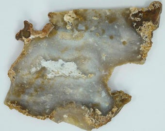 Polished Savannah River Agate Slab From Burke County, Georgia