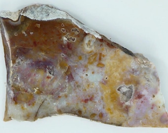 Polished Savannah River Agate Slab From Burke County, Georgia