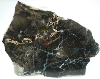 Polished Spring Gulch Brecciated Jasper Specimen From Fremont County, Colorado