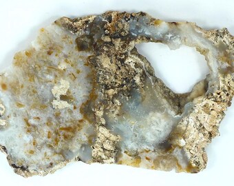 Polished Savannah River Agate Slab From Burke County, Georgia