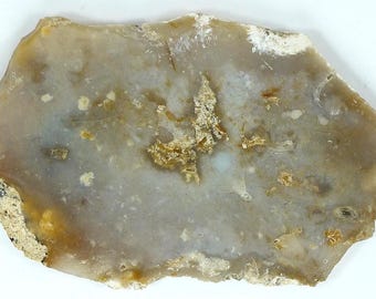 Polished Savannah River Agate From Burke County, Georgia