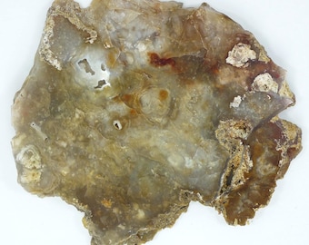 Polished Savannah River Agate Slab From Burke County, Georgia