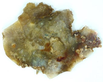 Savannah River Agate Polished Slab From Burke County, Georgia