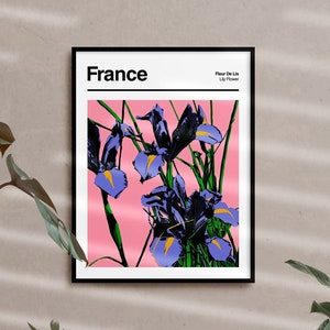 France Botanical Abstract Art Poster - Lily Flower Art, Flower Market Poster, Flower Market Art, Pink Flower Poster, Flower Market Print